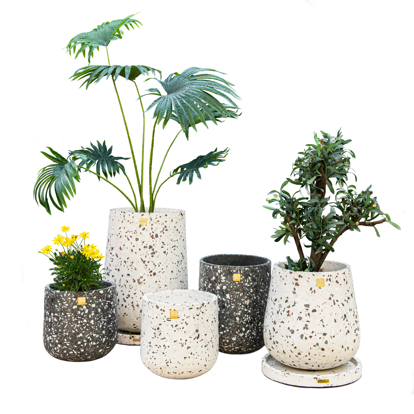 Sia Terrazzo