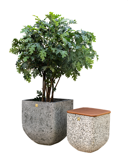 Apis Terrazzo