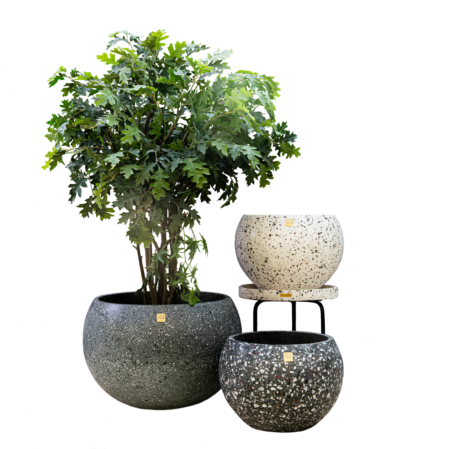 Tut Terrazzo