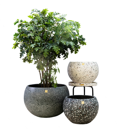 Tut Terrazzo