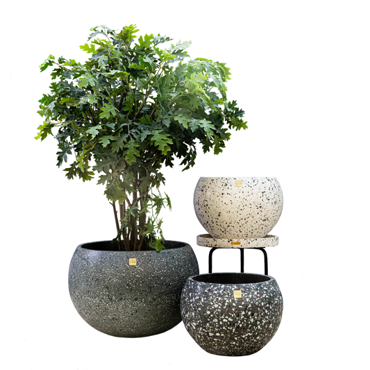 Tut Terrazzo